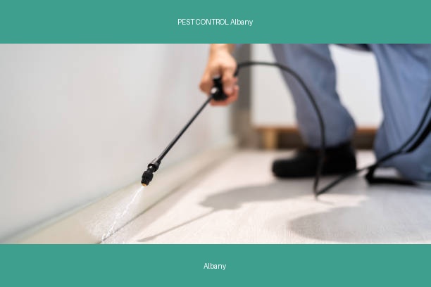 PEST CONTROL Albany